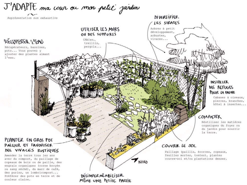 Le climat change, votre jardin aussi ! Adapter son jardin pour faire face au changement climatique et accueillir la biodiversité